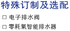 特殊訂制及選配.jpg